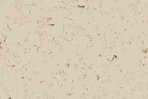 Кварцвиниловые полы Forbo Allura Colour/Colour Plus C68012-651012 pearl grey фото  | FLOORDEALER